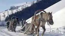 禾木喀纳斯冬季风光