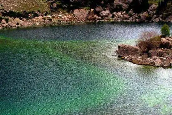 碧水涟漪——库车小龙池