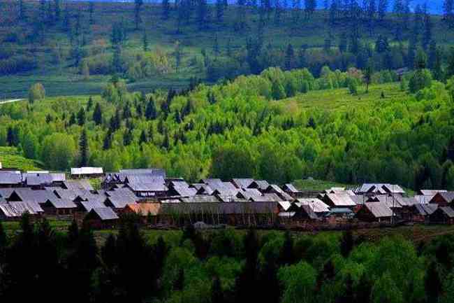 神的后花园-春到禾木村（1）,图十六