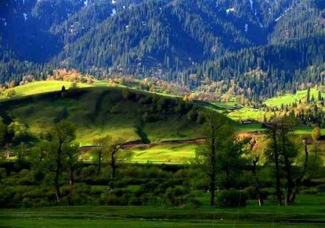 空中花园那拉提,图六