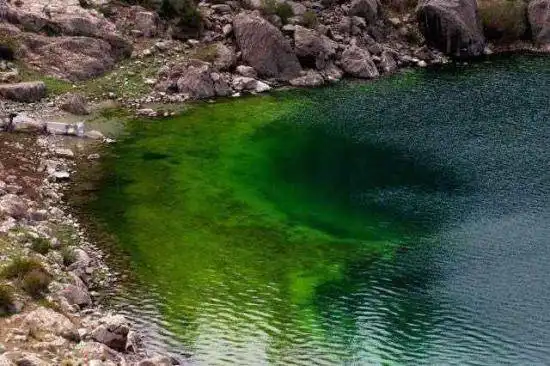 碧水涟漪——库车小龙池