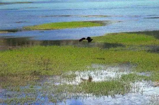神秘幽静—库车大龙池