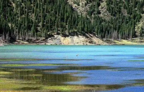 神秘幽静—库车大龙池