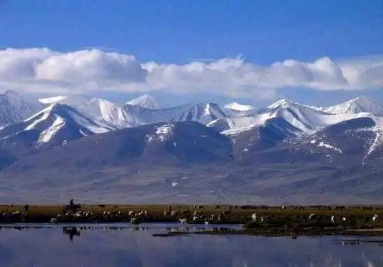 巴音布鲁克草原最美的湖沼地