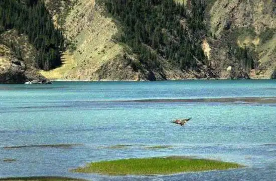 神秘幽静—库车大龙池