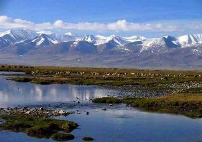 巴音布鲁克草原最美的湖沼地,图九
