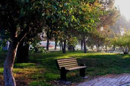 秋季宁静五彩的植物园