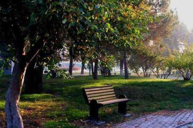 秋季宁静五彩的植物园,图一