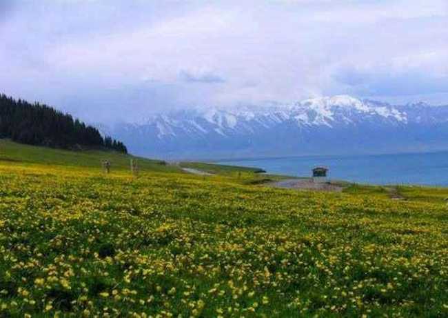 赛里木湖美景,图四
