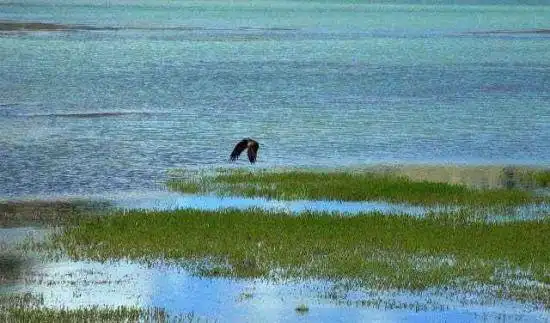 神秘幽静—库车大龙池