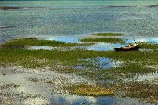 神秘幽静—库车大龙池