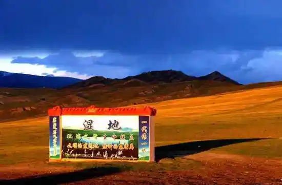 巴音布鲁克天鹅湖