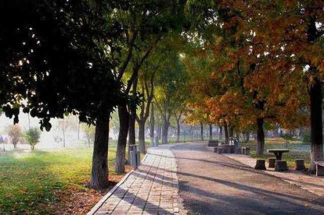 秋季宁静五彩的植物园,图二