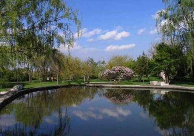 多情柔美紫丁香,图六