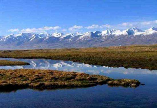 巴音布鲁克草原最美的湖沼地,图五