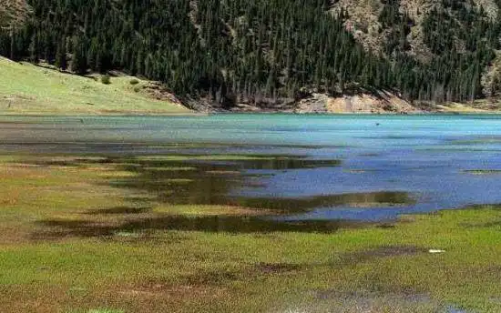 神秘幽静—库车大龙池