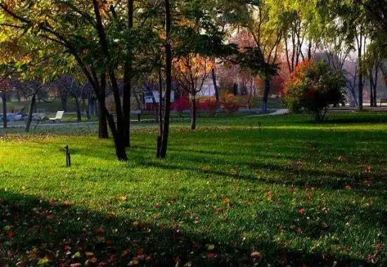 秋季宁静五彩的植物园