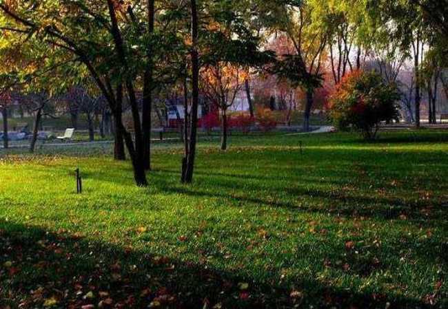 秋季宁静五彩的植物园,图三