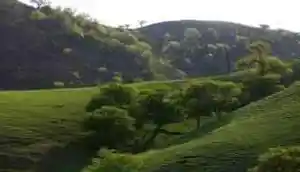 峻美乌孙山