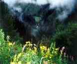 南山菊花臺(tái)