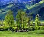 空中花園那拉提