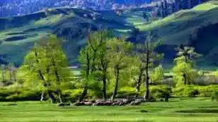 空中花园那拉提