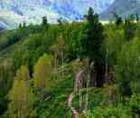 神的后花園-春到禾木村（1）