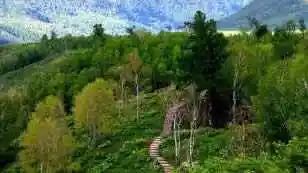 神的后花园-春到禾木村（1）