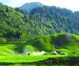 夢回唐布拉草原