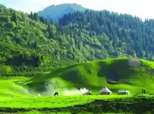 梦回唐布拉草原