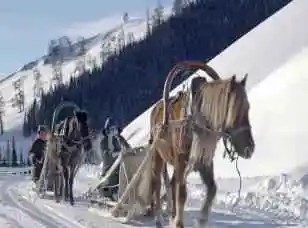 禾木喀纳斯冬季风光