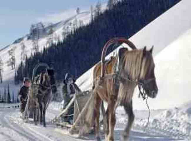 禾木喀纳斯冬季风光,图八