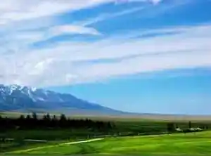 巴里坤