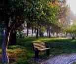 秋季寧靜五彩的植物園