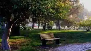 秋季宁静五彩的植物园