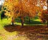 秋色正濃時(shí)