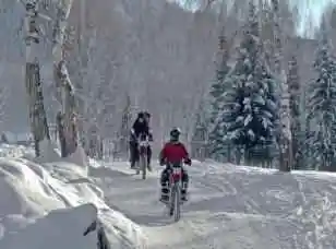 禾木喀纳斯冬季风光