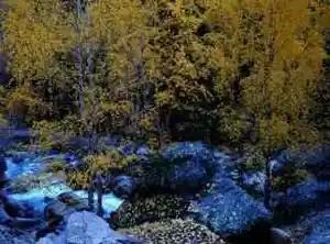 美景欣赏