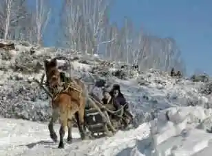 禾木喀纳斯冬季风光