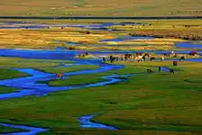 北疆15天深度环游：喀纳斯+禾木+赛里木湖+那拉提草原全景之旅