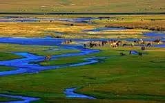 北疆15天深度环游：喀纳斯+禾木+赛里木湖+那拉提草原全景之旅