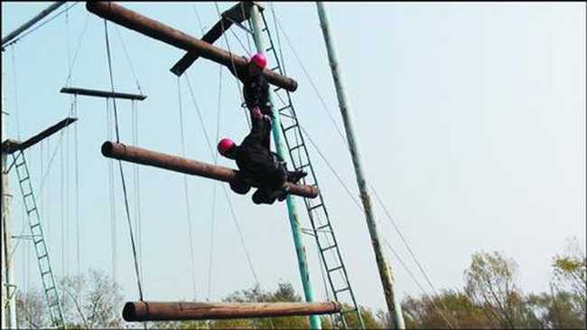 企業(yè)拓展之垂直天梯,圖三