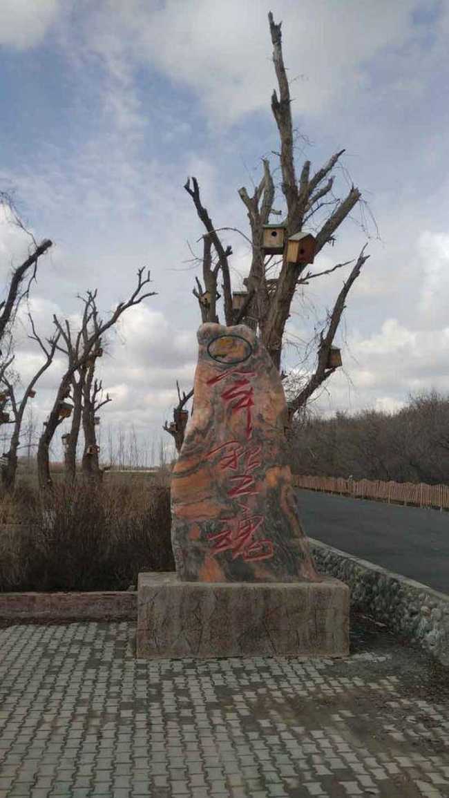 端午节那里去------驼铃梦坡野营去！！！,图三