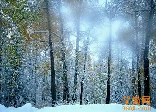 世外桃源白哈巴