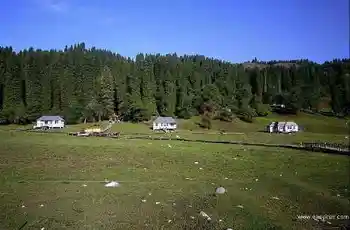 新疆库尔德宁风光,图四