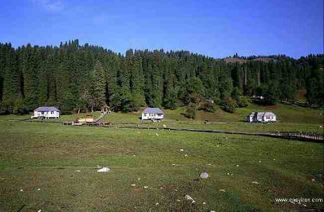 新疆库尔德宁风光,图四