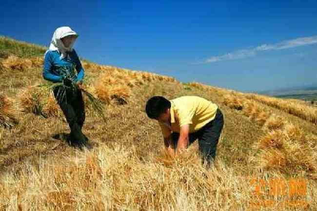 江布拉克摄影的天堂,图七