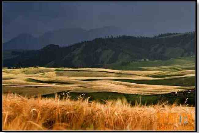 江布拉克摄影的天堂,图八