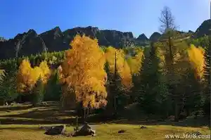 新疆-可可托海