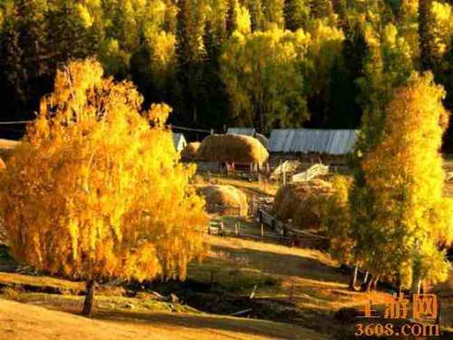 世外桃源白哈巴,图二十四